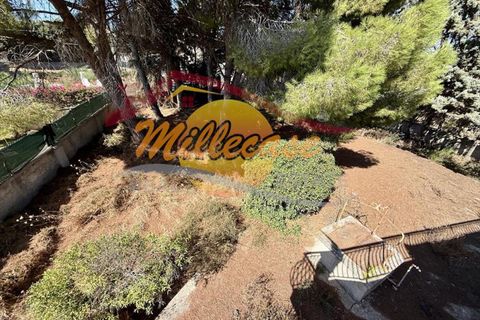 Villa a Siracusa, Siracusa, Siracusa - € 258.000 | Ref: RIF2925/258FONTANEBIANCHE - foto 19