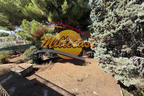 Villa a Siracusa, Siracusa, Siracusa - € 258.000 | Ref: RIF2925/258FONTANEBIANCHE - foto 24