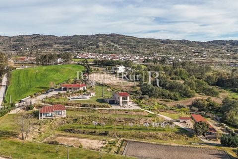 Erhvervsejendom i Ferro, Castelo Branco, Ferro - € 1.750.000 | Ref: FG412 - foto 3