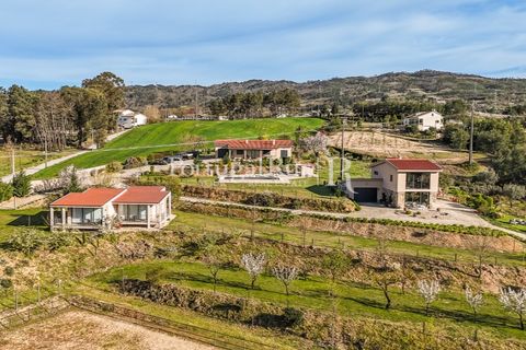 Erhvervsejendom i Ferro, Castelo Branco, Ferro - € 1.750.000 | Ref: FG412 - foto 5