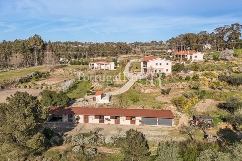 Erhvervsejendom i Ferro, Castelo Branco, Ferro - € 1.750.000 | Ref: FG412 - foto 8