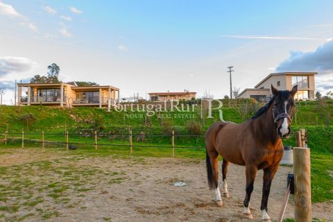 Erhvervsejendom i Ferro, Castelo Branco, Ferro - € 1.750.000 | Ref: FG412 - foto 14