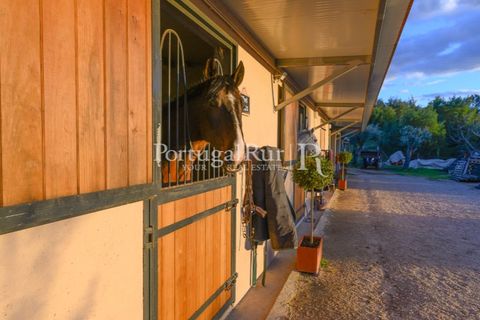Erhvervsejendom i Ferro, Castelo Branco, Ferro - € 1.750.000 | Ref: FG412 - foto 15