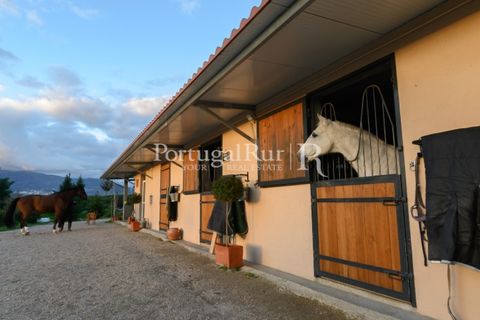 Erhvervsejendom i Ferro, Castelo Branco, Ferro - € 1.750.000 | Ref: FG412 - foto 16