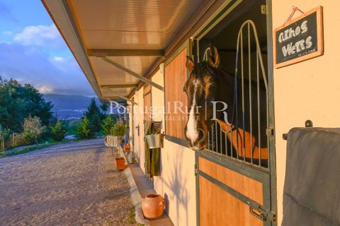 Erhvervsejendom i Ferro, Castelo Branco, Ferro - € 1.750.000 | Ref: FG412 - foto 17