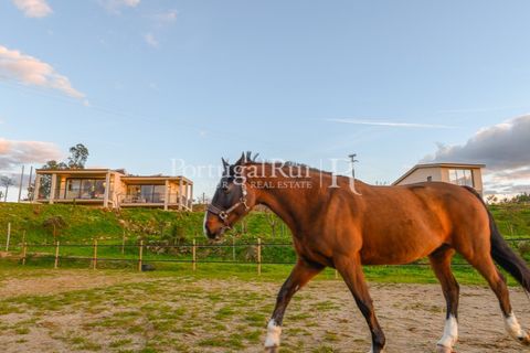 Erhvervsejendom i Ferro, Castelo Branco, Ferro - € 1.750.000 | Ref: FG412 - foto 22