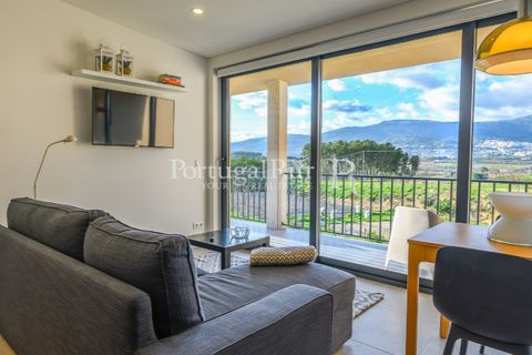 Erhvervsejendom i Ferro, Castelo Branco, Ferro - € 1.750.000 | Ref: FG412 - foto 26