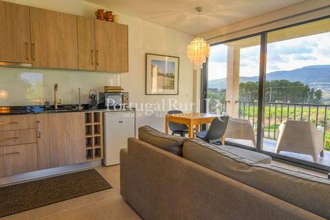 Erhvervsejendom i Ferro, Castelo Branco, Ferro - € 1.750.000 | Ref: FG412 - foto 37