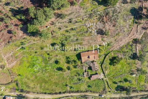 Farm i Castelo de Vide, Portalegre, Castelo de Vide - € 135.000 | Ref: ML25 - foto 2