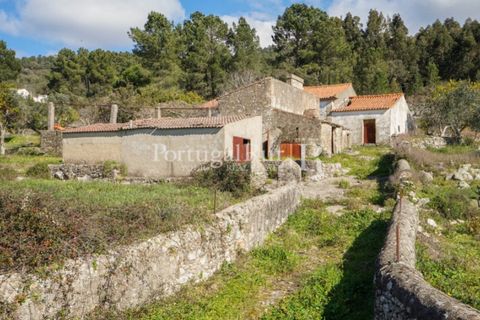 Farm i Castelo de Vide, Portalegre, Castelo de Vide - € 135.000 | Ref: ML25 - foto 4
