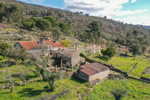 Farm i Castelo de Vide, Portalegre, Castelo de Vide - € 135.000 | Ref: ML25 - foto 5