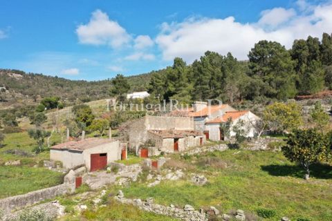 Farm i Castelo de Vide, Portalegre, Castelo de Vide - € 135.000 | Ref: ML25 - foto 6
