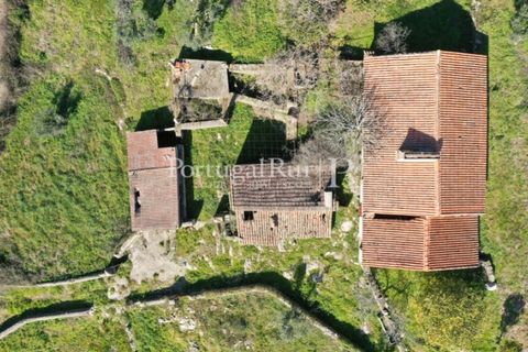 Farm i Castelo de Vide, Portalegre, Castelo de Vide - € 135.000 | Ref: ML25 - foto 7