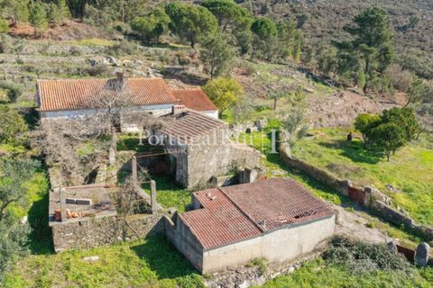 Farm i Castelo de Vide, Portalegre, Castelo de Vide - € 135.000 | Ref: ML25 - foto 8
