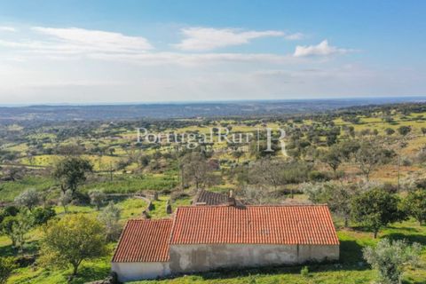 Farm i Castelo de Vide, Portalegre, Castelo de Vide - € 135.000 | Ref: ML25 - foto 9
