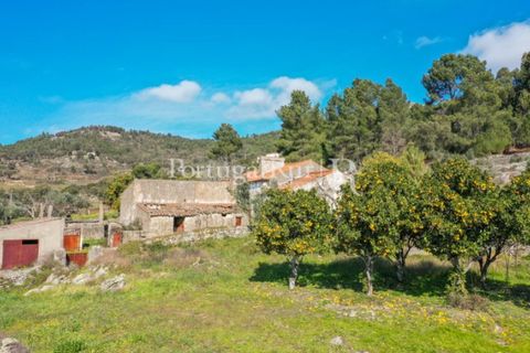 Farm i Castelo de Vide, Portalegre, Castelo de Vide - € 135.000 | Ref: ML25 - foto 10
