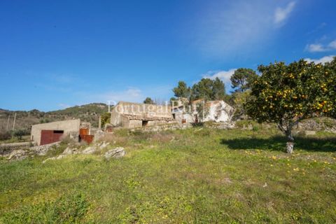 Farm i Castelo de Vide, Portalegre, Castelo de Vide - € 135.000 | Ref: ML25 - foto 11