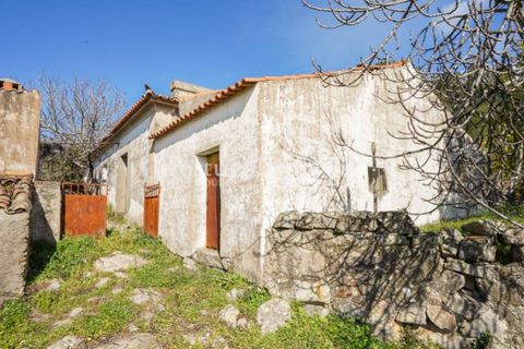 Farm i Castelo de Vide, Portalegre, Castelo de Vide - € 135.000 | Ref: ML25 - foto 12
