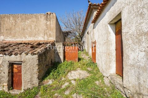 Farm i Castelo de Vide, Portalegre, Castelo de Vide - € 135.000 | Ref: ML25 - foto 13