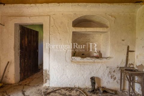 Farm i Castelo de Vide, Portalegre, Castelo de Vide - € 135.000 | Ref: ML25 - foto 18