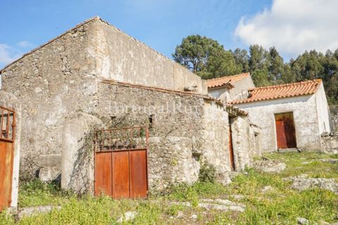 Farm i Castelo de Vide, Portalegre, Castelo de Vide - € 135.000 | Ref: ML25 - foto 22