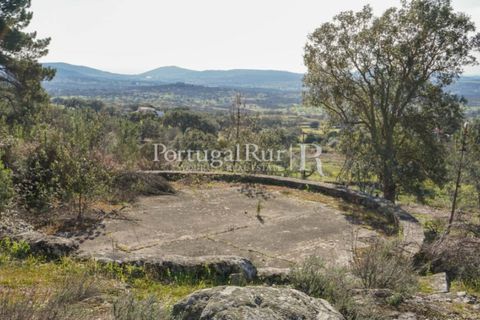 Farm i Castelo de Vide, Portalegre, Castelo de Vide - € 135.000 | Ref: ML25 - foto 24