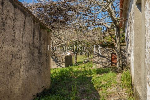 Farm i Castelo de Vide, Portalegre, Castelo de Vide - € 135.000 | Ref: ML25 - foto 25