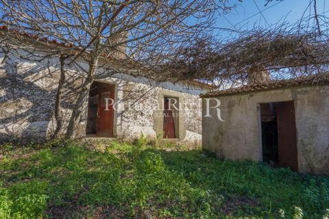 Farm i Castelo de Vide, Portalegre, Castelo de Vide - € 135.000 | Ref: ML25 - foto 27