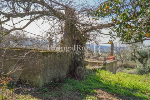 Farm i Castelo de Vide, Portalegre, Castelo de Vide - € 135.000 | Ref: ML25 - foto 28