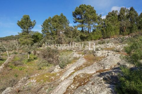 Farm i Castelo de Vide, Portalegre, Castelo de Vide - € 135.000 | Ref: ML25 - foto 29