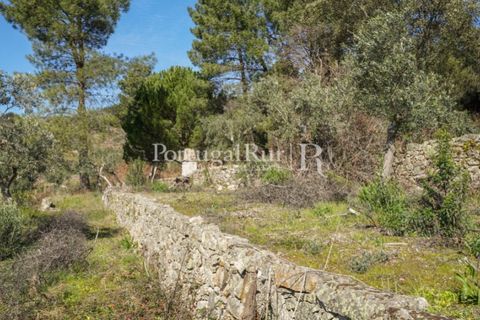 Farm i Castelo de Vide, Portalegre, Castelo de Vide - € 135.000 | Ref: ML25 - foto 30