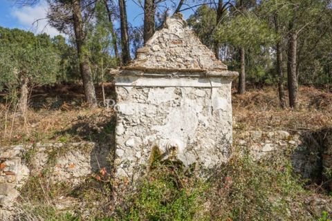 Farm i Castelo de Vide, Portalegre, Castelo de Vide - € 135.000 | Ref: ML25 - foto 31