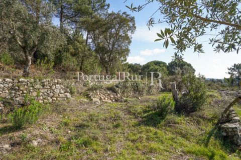 Farm i Castelo de Vide, Portalegre, Castelo de Vide - € 135.000 | Ref: ML25 - foto 32