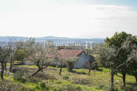 Farm i Castelo de Vide, Portalegre, Castelo de Vide - € 135.000 | Ref: ML25 - foto 33