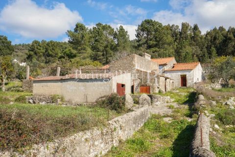 Farm i Castelo de Vide, Portalegre, Castelo de Vide - € 135.000 | Ref: ML25 - foto 34