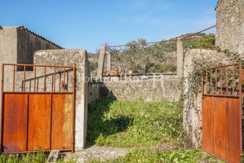 Farm i Castelo de Vide, Portalegre, Castelo de Vide - € 135.000 | Ref: ML25 - foto 35