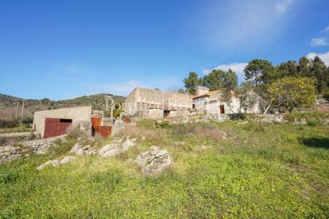 Farm i Castelo de Vide, Portalegre, Castelo de Vide - € 135.000 | Ref: ML25 - foto 36