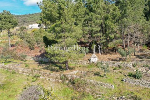 Farm i Castelo de Vide, Portalegre, Castelo de Vide - € 135.000 | Ref: ML25 - foto 37
