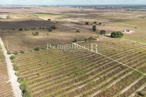 Helårsgrund i Palmela, Setubal, Palmela - € 650.000 | Ref: JF678 - foto 8