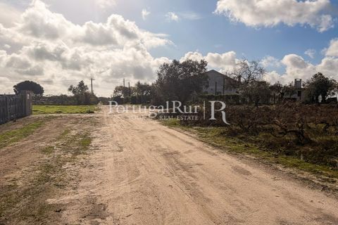 Helårsgrund i Palmela, Setubal, Palmela - € 650.000 | Ref: JF678 - foto 13