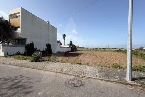 Helårsgrund i Aveiro, Aveiro, Aveiro - € 140.000 | Ref: 1012468/26 GL - foto 1