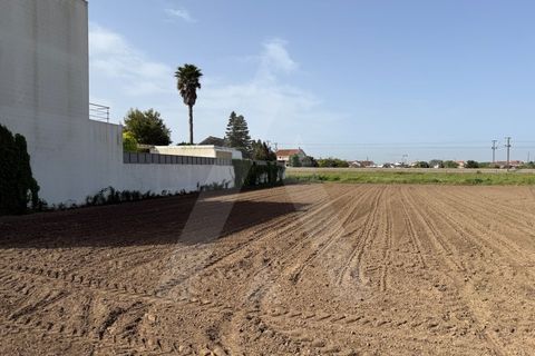 Helårsgrund i Aveiro, Aveiro, Aveiro - € 140.000 | Ref: 1012468/26 GL - foto 4