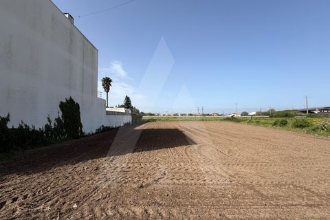 Helårsgrund i Aveiro, Aveiro, Aveiro - € 140.000 | Ref: 1012468/26 GL - foto 5