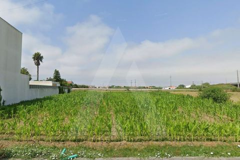 Helårsgrund i Aveiro, Aveiro, Aveiro - € 140.000 | Ref: 1012468/26 GL - foto 8