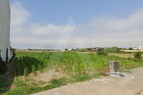 Helårsgrund i Aveiro, Aveiro, Aveiro - € 140.000 | Ref: 1012468/26 GL - foto 9
