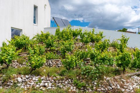 Villa i Leiria, Leiria, Leiria - € 400.000 | Ref: C0364-05779 - foto 49