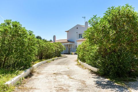Villa i Sintra, Lisbon, Sintra - € 2.500.000 | Ref: 1356-01872 - foto 35