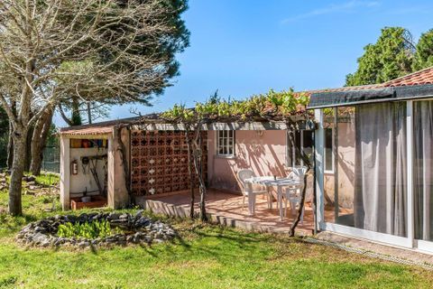 Villa i Sintra, Lisbon, Sintra - € 2.500.000 | Ref: 1356-01872 - foto 36