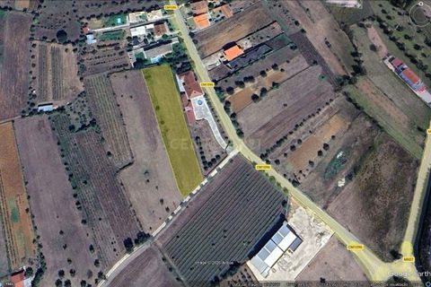 Terra a Condeixa-a-Nova, Coimbra, Condeixa-a-Nova - € 47.500 | Ref: C0372-01819 - foto 2
