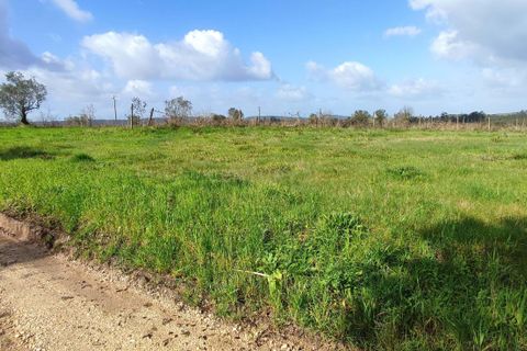 Terra a Condeixa-a-Nova, Coimbra, Condeixa-a-Nova - € 47.500 | Ref: C0372-01819 - foto 4